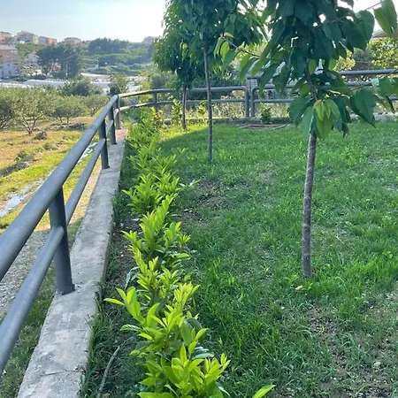 David 73 דירה ספליט