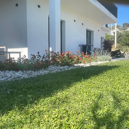 David 73 * Split